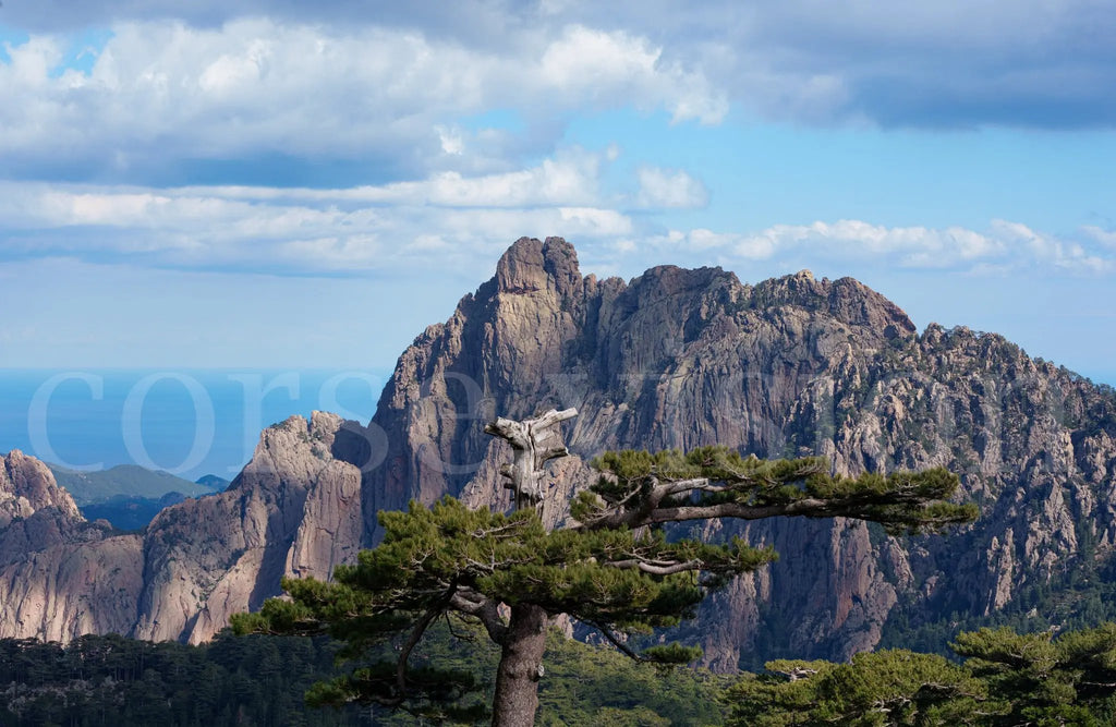 Aiguilles de Bavella en Corse – photo d’art (papier, plexi) Ref.80 corsevision