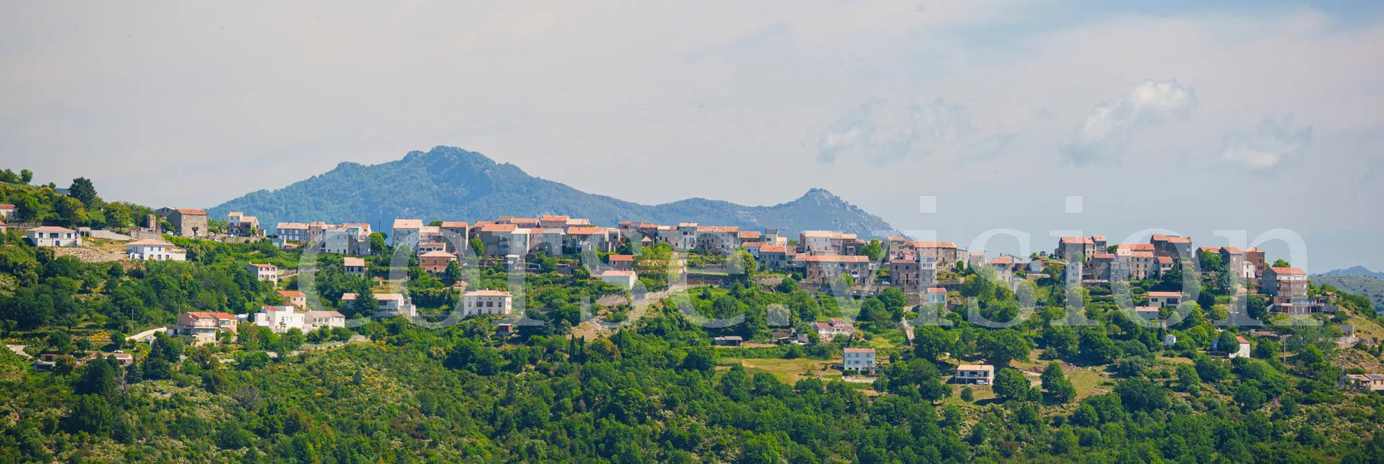 Photo d’Art d’Antisanti – Village Corse Panoramique en HD | Décoration Murale Authentique Réf.3 corsevision