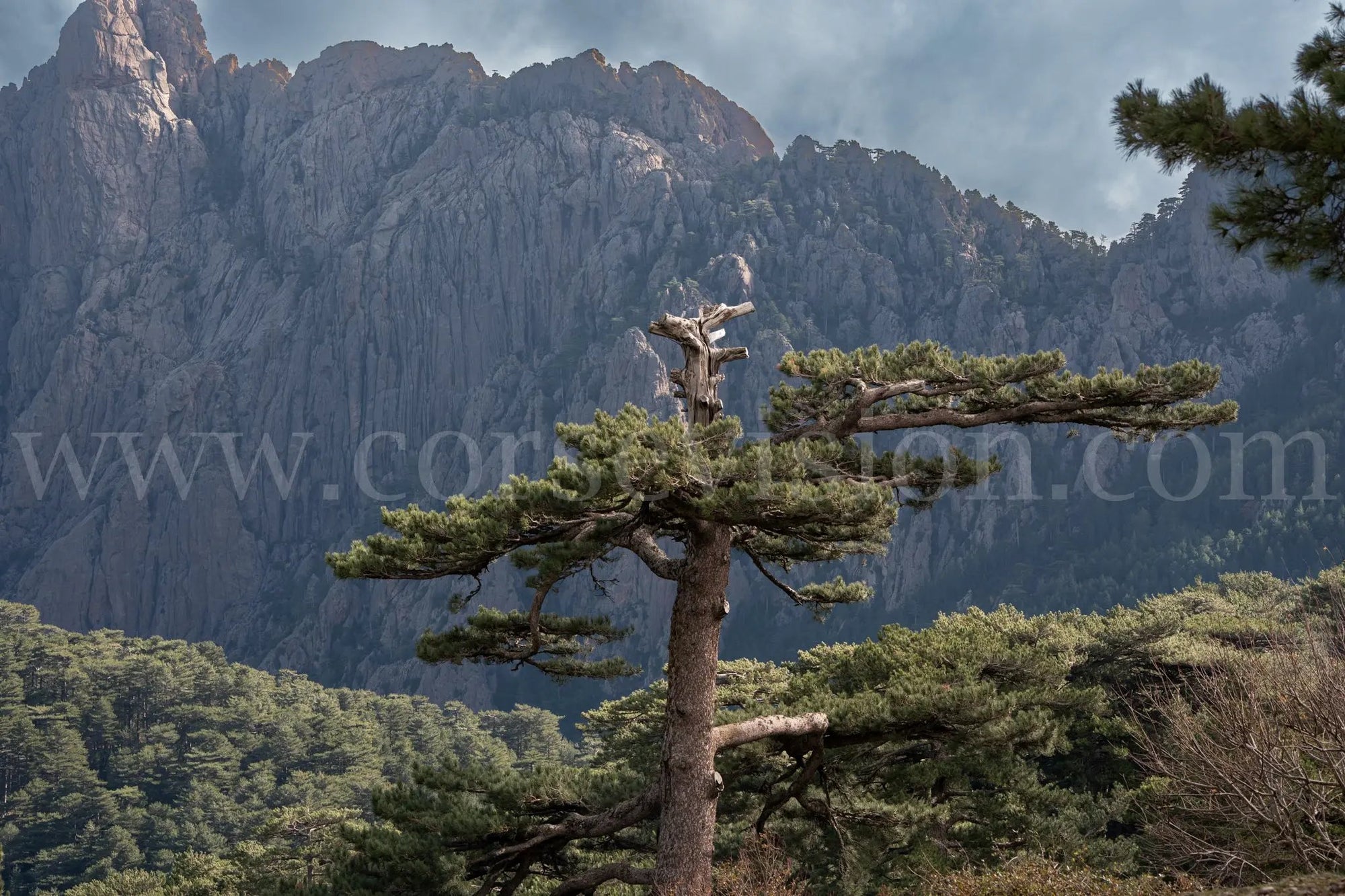 Bavella – Photo d’art des montagnes corses (papier, plexi) Ref.114 corsevision
