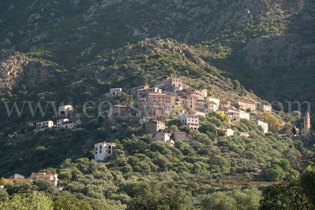Lama – Photo d’art du village corse (papier, plexi) Ref.111 corsevision