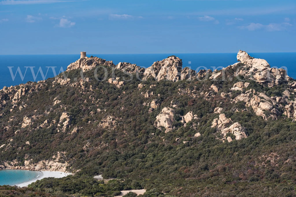 Lion de Roccapina – Photo d’art (papier, plexi) Ref.98 corsevision