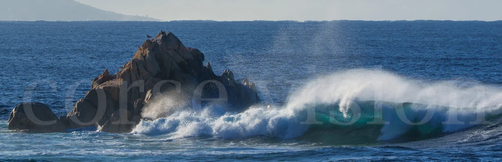 Bord de mer – Route des Sanguinaires en Corse (photo d’art :papier, plexi) Ref.62 corsevision