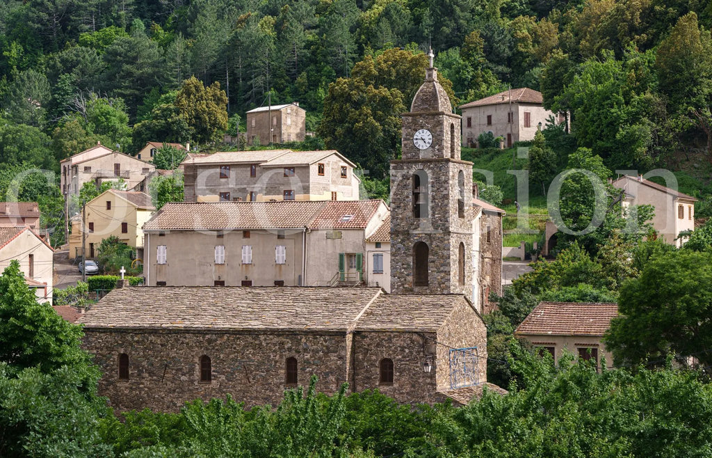 Photo d’Art de Rospigliani – Village Corse Traditionnel en Haute Définition | Décoration Murale Authentique Ref.29 corsevision